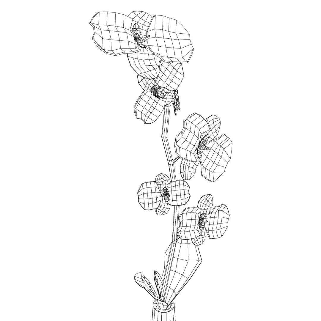 vase 3d model https://p.turbosquid.com/ts-thumb/cT/0q2cY8/HXtcaarG/flores8/jpg/1364996461/1920x1080/fit_q87/8a7f82d9f93b5b9e88044ab8c08193a306d195c7/flores8.jpg