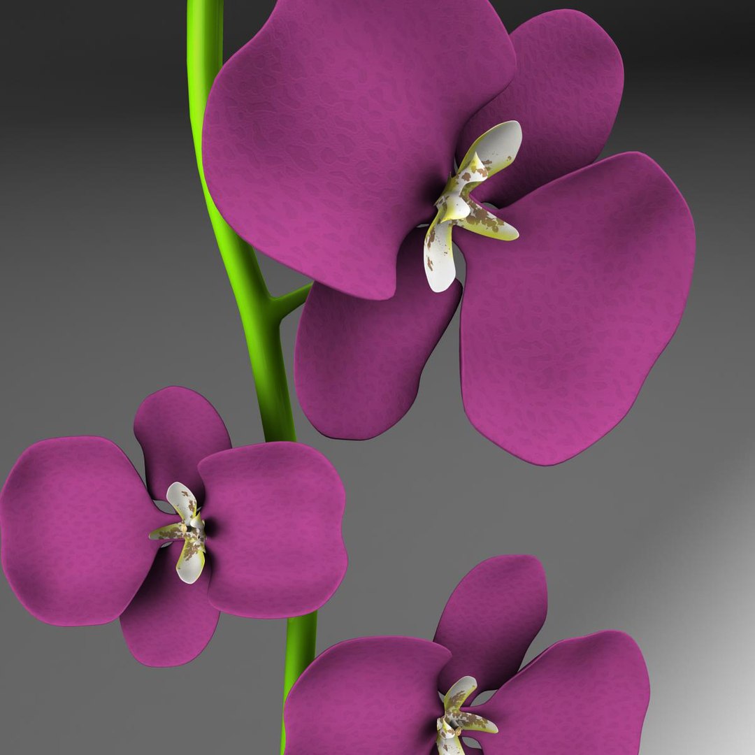 vase 3d model https://p.turbosquid.com/ts-thumb/cT/0q2cY8/jPXcPUfV/flores3/jpg/1364996461/1920x1080/fit_q87/4885c37c1a9fdc99c35271c1dbb703edf10b95cc/flores3.jpg