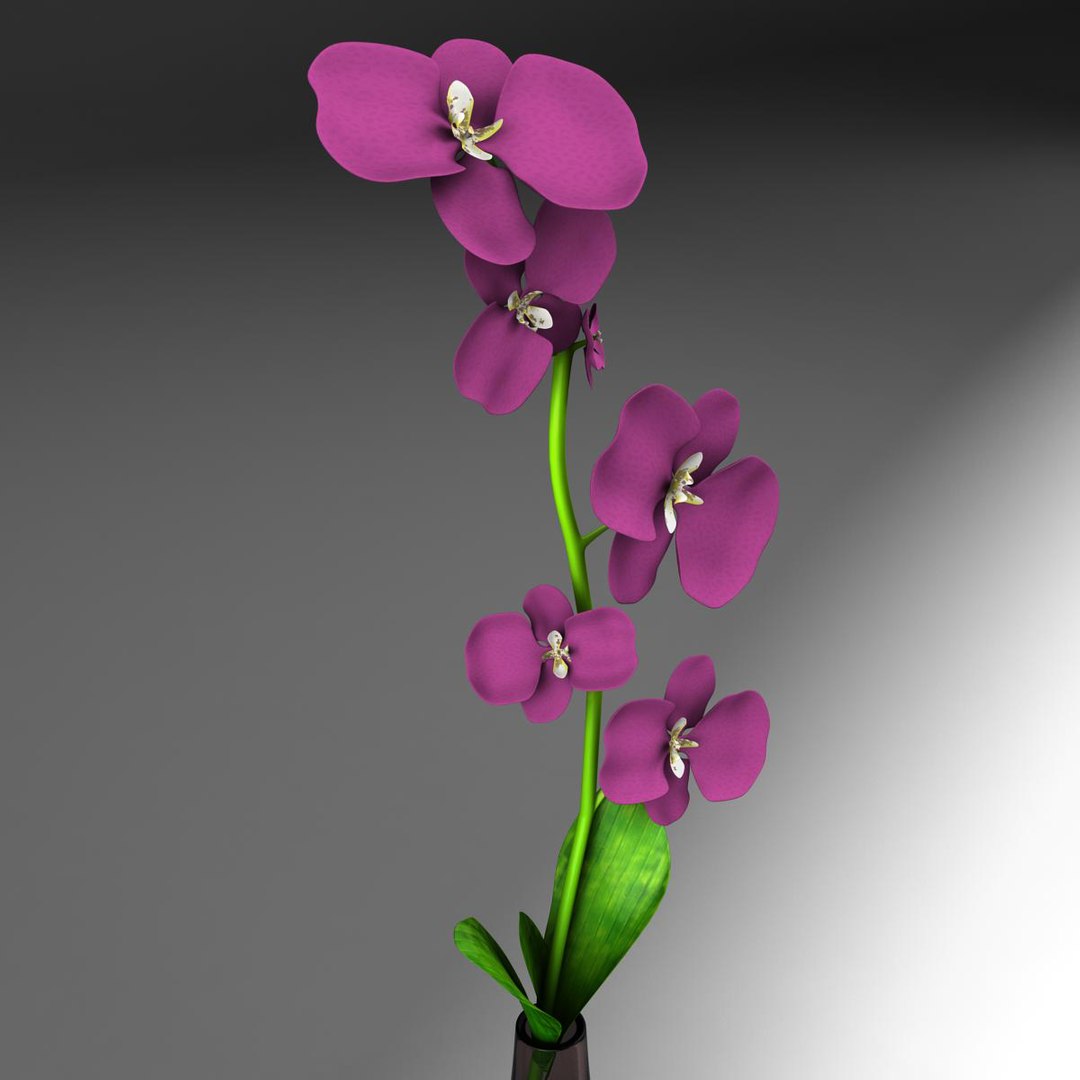 vase 3d model https://p.turbosquid.com/ts-thumb/cT/0q2cY8/wVP14PDr/flores2/jpg/1364996461/1920x1080/fit_q87/4ad87cb3af8806cfcd77141d4297e85e452fe16f/flores2.jpg