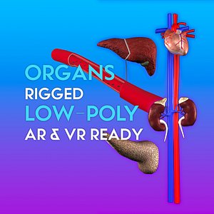 3D low-poly organ pack vr