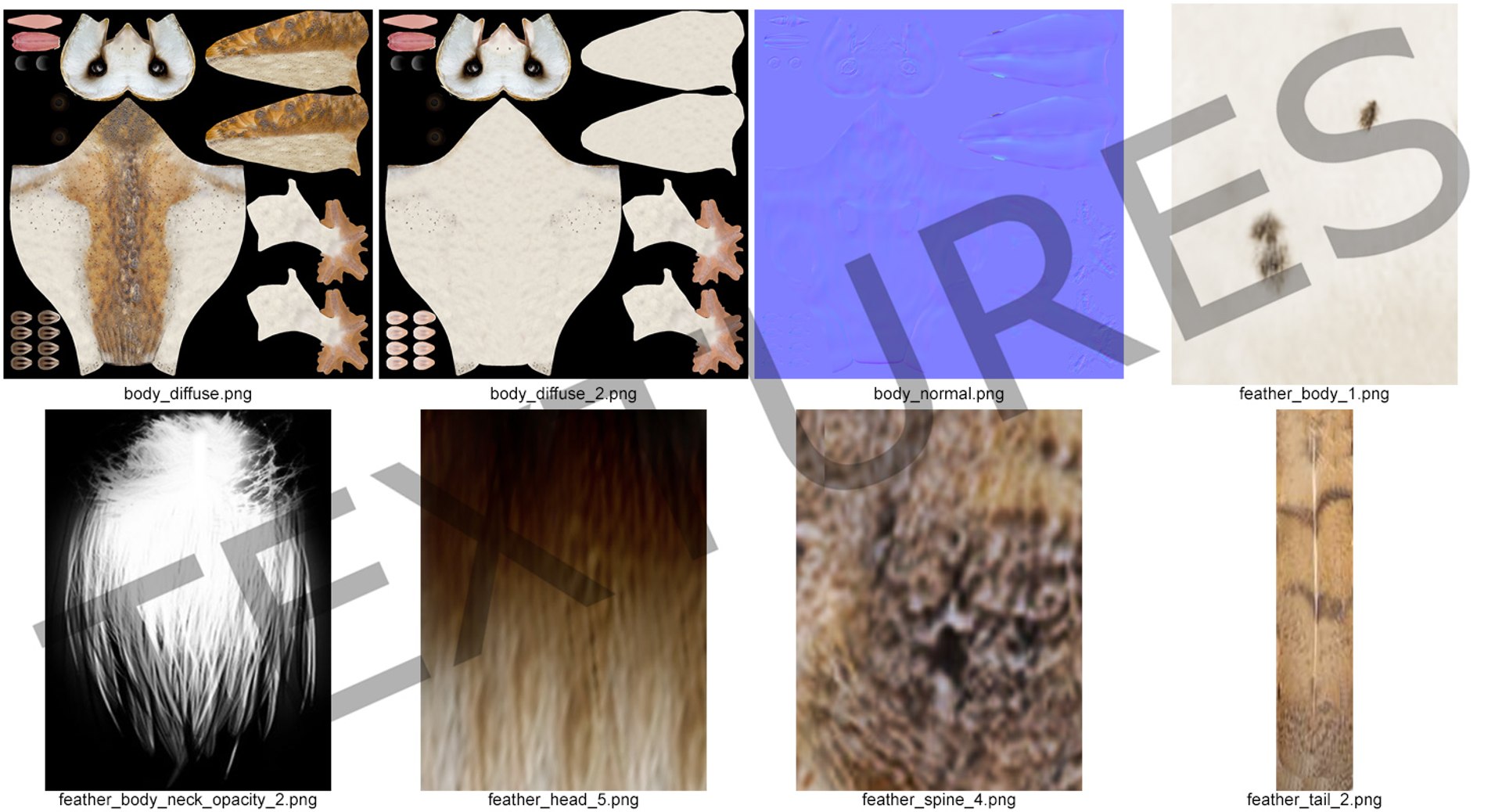 3D common barn owl model https://p.turbosquid.com/ts-thumb/cT/BNLKkb/cTW8rJJq/commonbarnowlvray3dmodel021/jpg/1565186117/1920x1080/fit_q87/0934478372c65b0d5428a35b7ee47ff49b9485d7/commonbarnowlvray3dmodel021.jpg