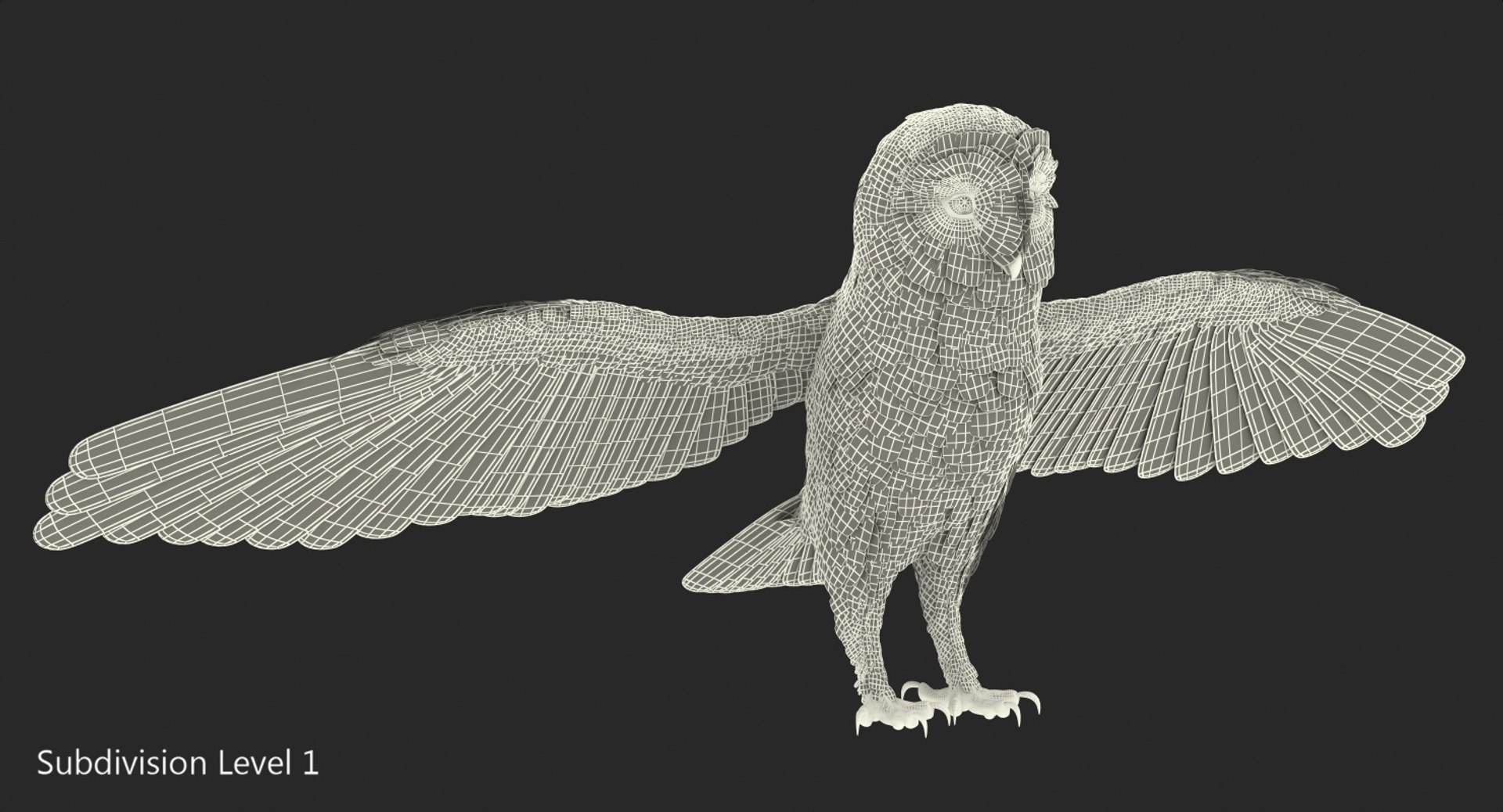 3D common barn owl model https://p.turbosquid.com/ts-thumb/cT/BNLKkb/seS6aCol/commonbarnowlvray3dmodel019/jpg/1565186109/1920x1080/fit_q87/4585a4e64cd77432f0adec75ad364df3b2435c95/commonbarnowlvray3dmodel019.jpg
