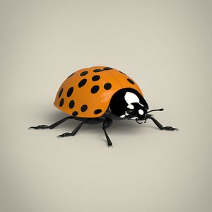 3D Ladybug
