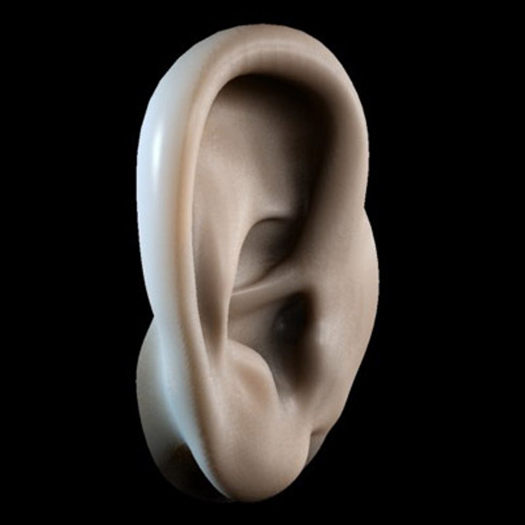 ear 3d max