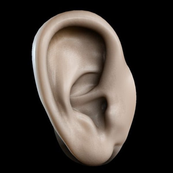 ear 3d max