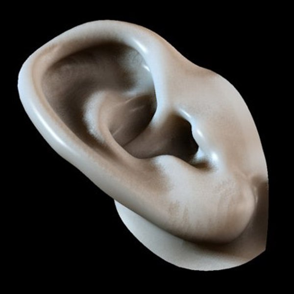 ear 3d max