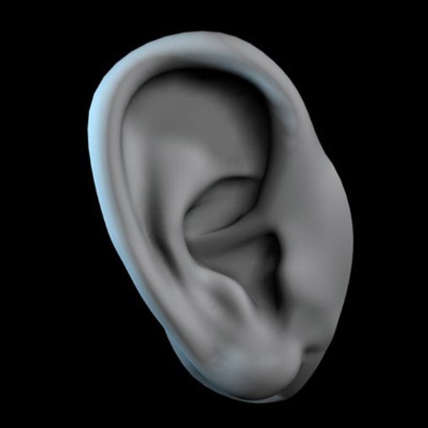 Ear 3d Max