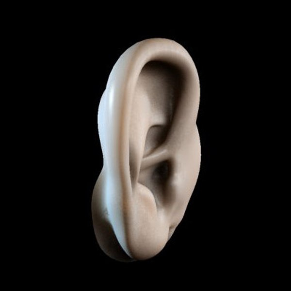 ear 3d max