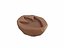 Dinosaur Footprint Fossil