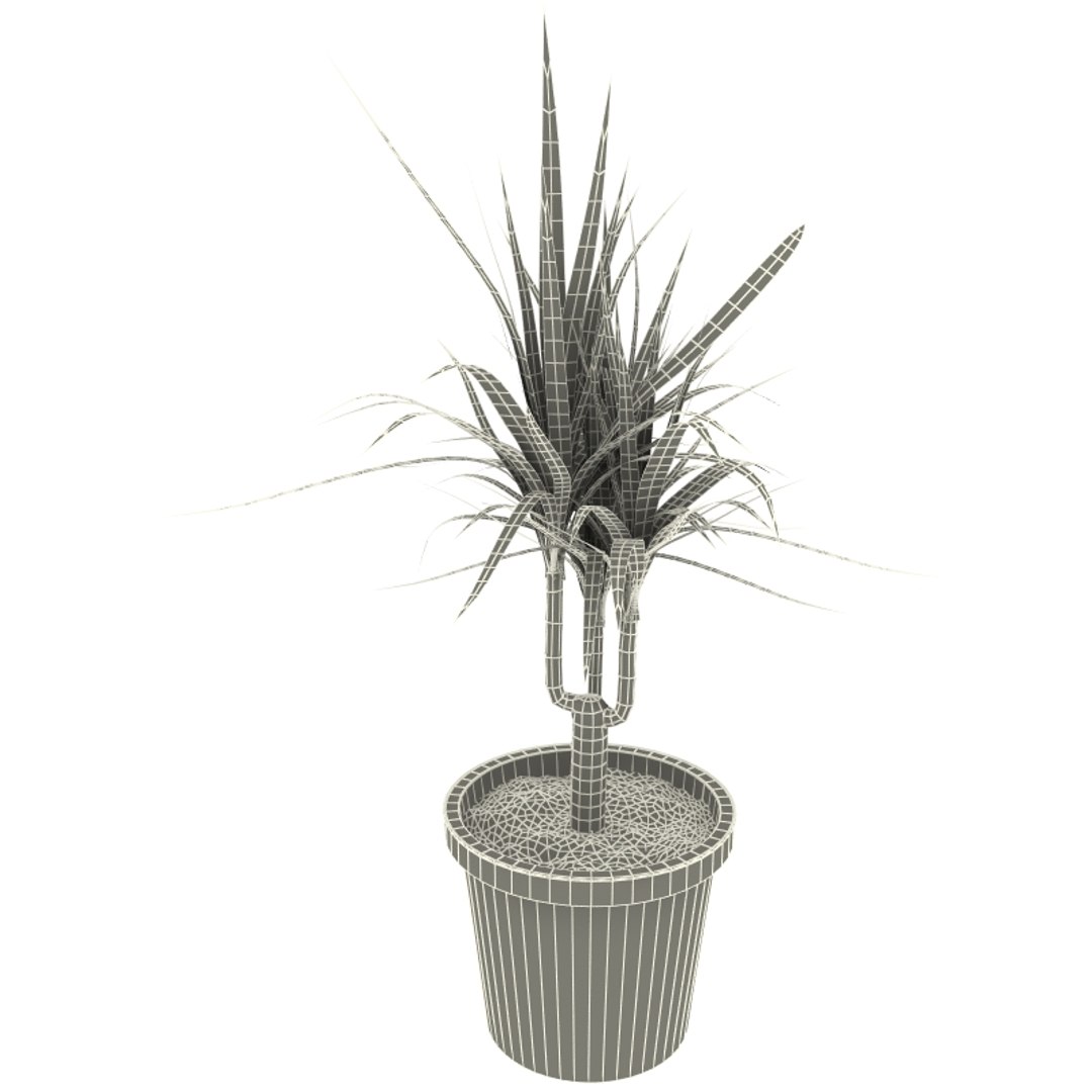 dracaena marginata 3ds https://p.turbosquid.com/ts-thumb/cT/JvyRpe/8SU17HL6/dracaena_marginata_8/jpg/1251640625/1920x1080/fit_q87/0ddfddbeca3fe007647de2dae25e7bb17d1ce840/dracaena_marginata_8.jpg