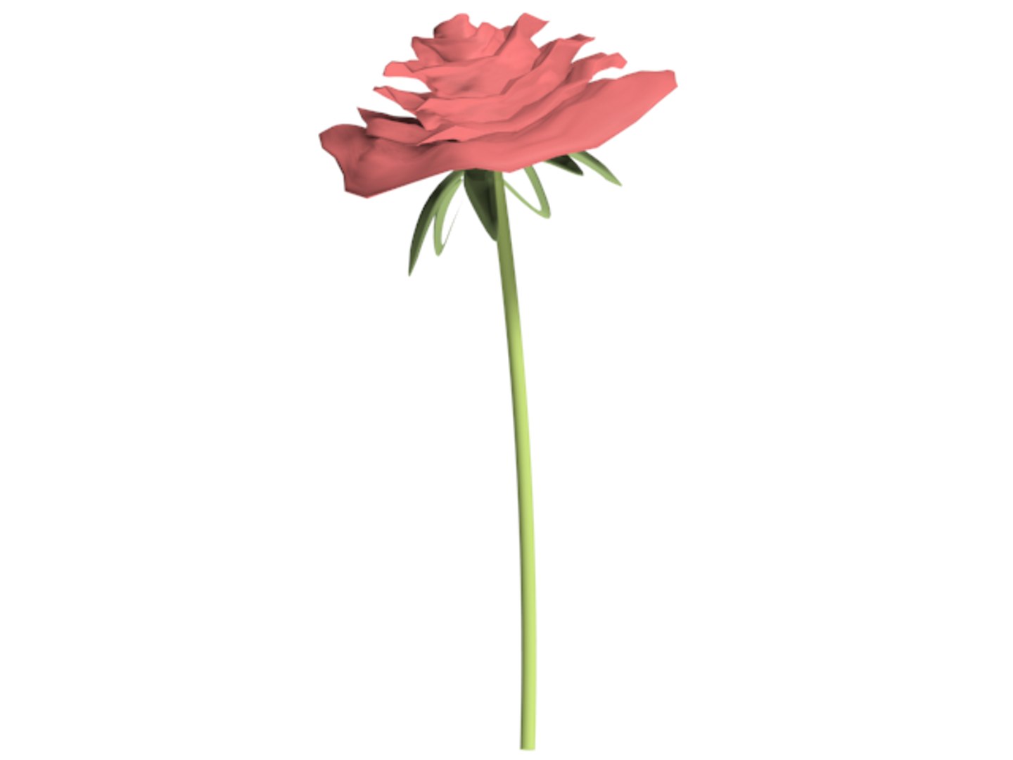 3d Red Rose Model
