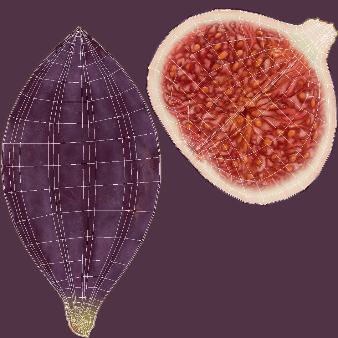 3D model Fresh Riped Fig Fruit Quarter https://p.turbosquid.com/ts-thumb/cT/ONYj7g/C7/freshripedfigfruitquartervray3dmodel015/jpg/1680903652/1920x1080/fit_q87/13d80ff360377ebb95682dd593f59c44fc68eedb/freshripedfigfruitquartervray3dmodel015.jpg