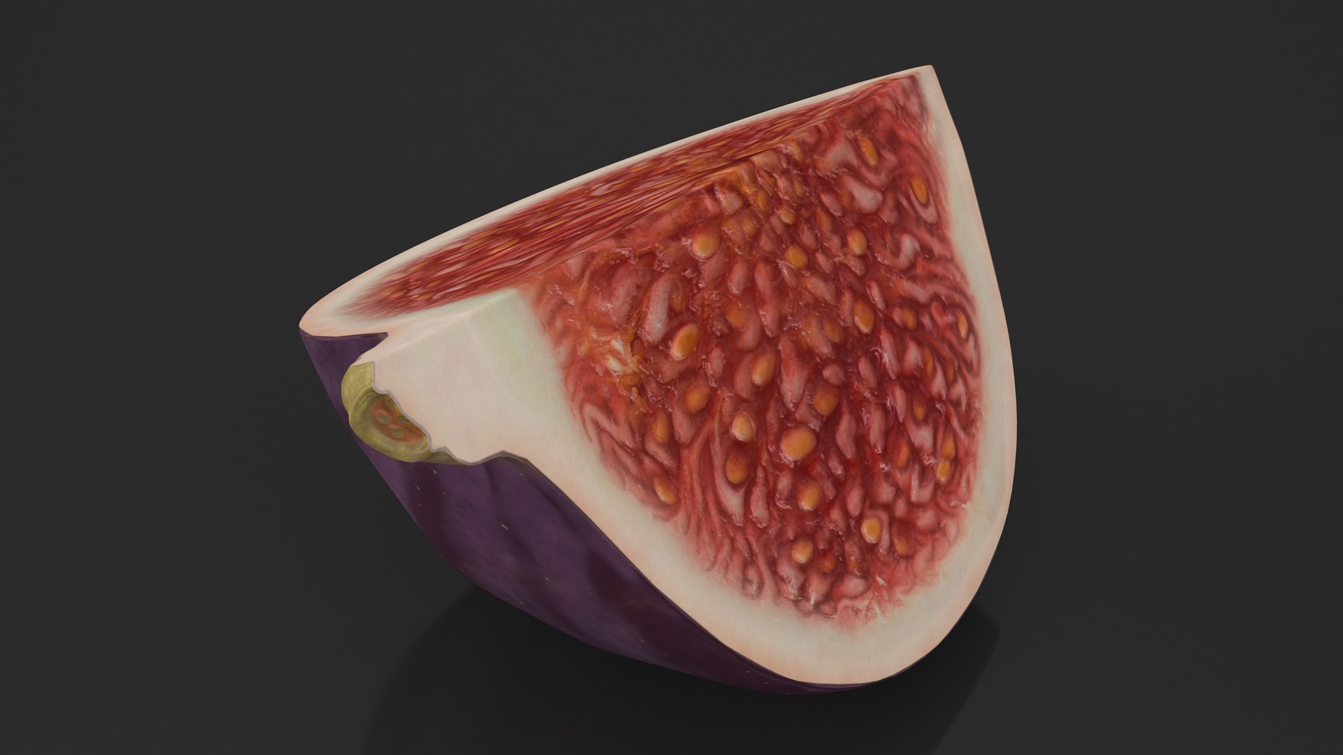 3D model Fresh Riped Fig Fruit Quarter https://p.turbosquid.com/ts-thumb/cT/ONYj7g/Ij/freshripedfigfruitquartervray3dmodel007/jpg/1680903627/1920x1080/fit_q87/67a33ab2887c108c92f337ed20db6fbc609c47e8/freshripedfigfruitquartervray3dmodel007.jpg
