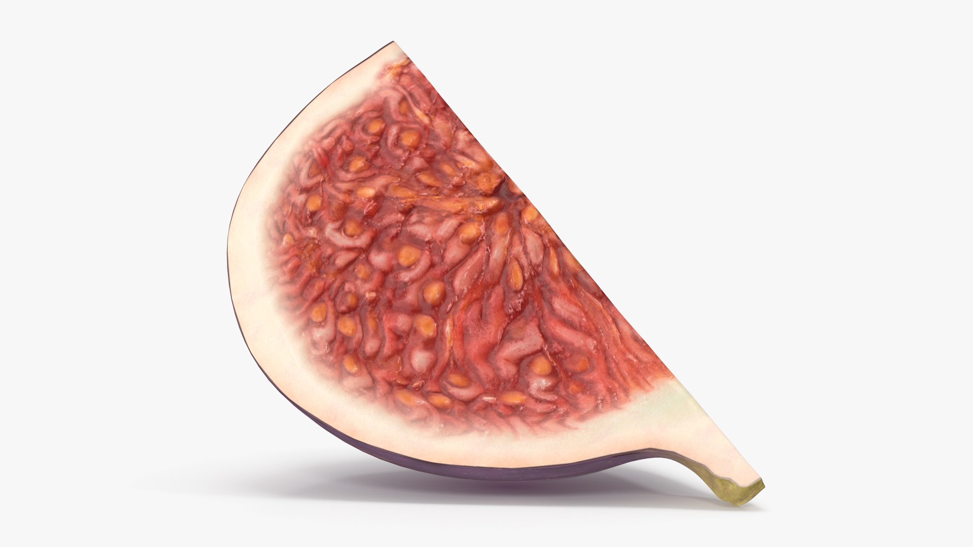 3D model Fresh Riped Fig Fruit Quarter https://p.turbosquid.com/ts-thumb/cT/ONYj7g/Xl/freshripedfigfruitquartervray3dmodel011/jpg/1680903640/1920x1080/fit_q87/6f0e51c6d728886ccc2257a9311c511e5084d887/freshripedfigfruitquartervray3dmodel011.jpg