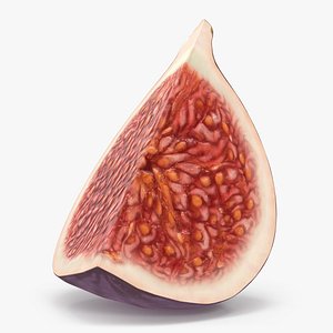 3D model Fresh Riped Fig Fruit Quarter