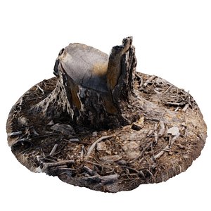 pinyon tree stump 3D model