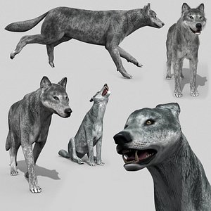 Wolfgang - 3d animated wolf model
