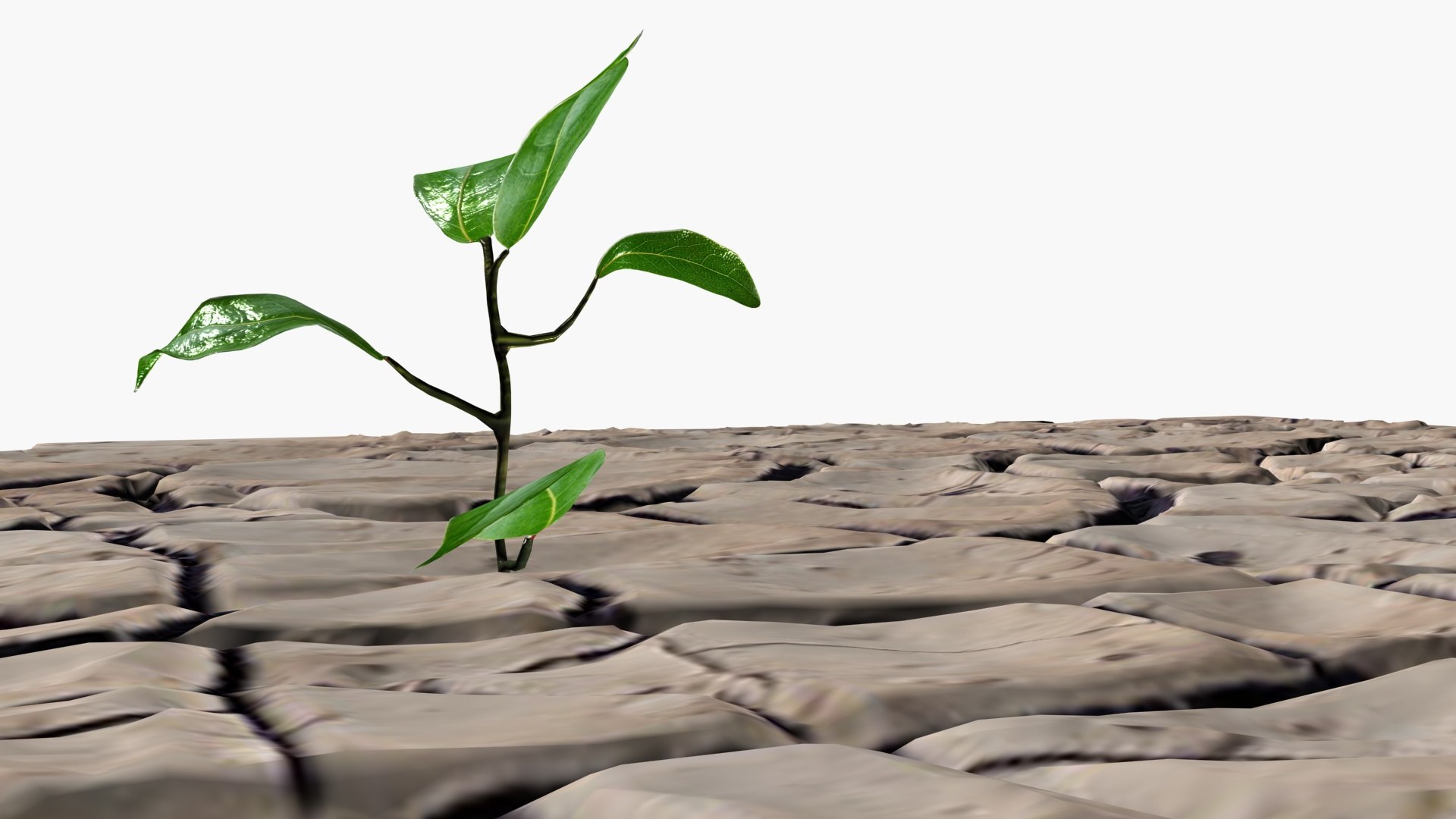 Cracked soil model https://p.turbosquid.com/ts-thumb/cT/UQGquX/4M/ps4/jpg/1718534699/1920x1080/fit_q87/3c332450f8168d40b75f1e1f2adec0a7a28d1e62/ps4.jpg