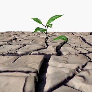 Cracked soil model