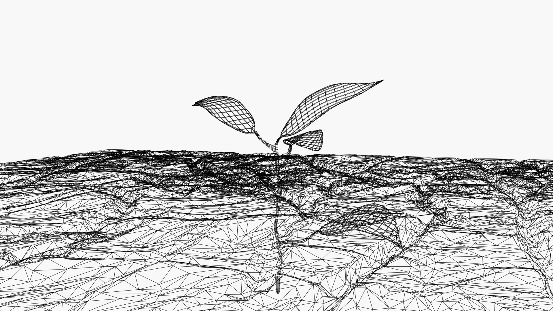 Cracked soil model https://p.turbosquid.com/ts-thumb/cT/UQGquX/XM/wireframe/jpg/1718534774/1920x1080/fit_q87/e1d4086091192fdacb48c81294680b4453dcd772/wireframe.jpg