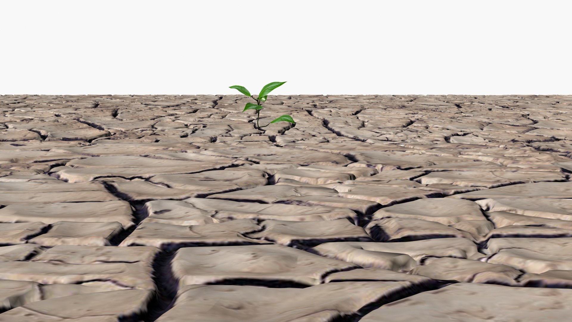 Cracked soil model https://p.turbosquid.com/ts-thumb/cT/UQGquX/if/ps7/jpg/1718534752/1920x1080/fit_q87/aae40a8b8f787d97bfc2a9790fd4360cc94bd585/ps7.jpg