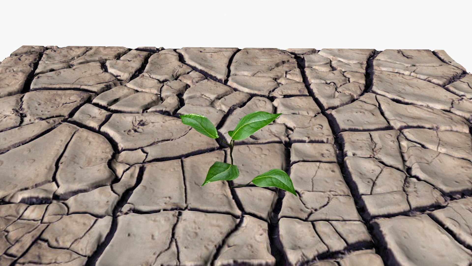 Cracked soil model https://p.turbosquid.com/ts-thumb/cT/UQGquX/lX/ps5/jpg/1718534726/1920x1080/fit_q87/60647a479484c0ee592f3a0b50b81cdd18369ab7/ps5.jpg