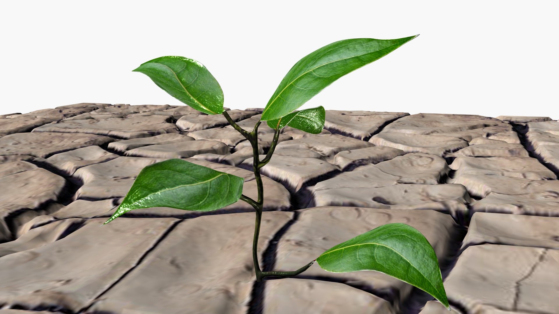 Cracked soil model https://p.turbosquid.com/ts-thumb/cT/UQGquX/yb/ps3/jpg/1718534685/1920x1080/fit_q87/12e952d117947b3e37b6e7718101c47880e8c414/ps3.jpg