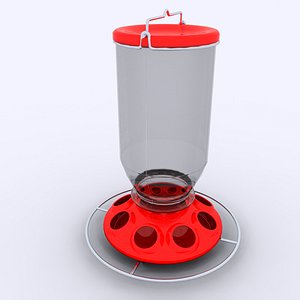Birds Feeder