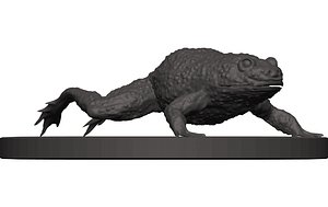 Bullfrog 3D model