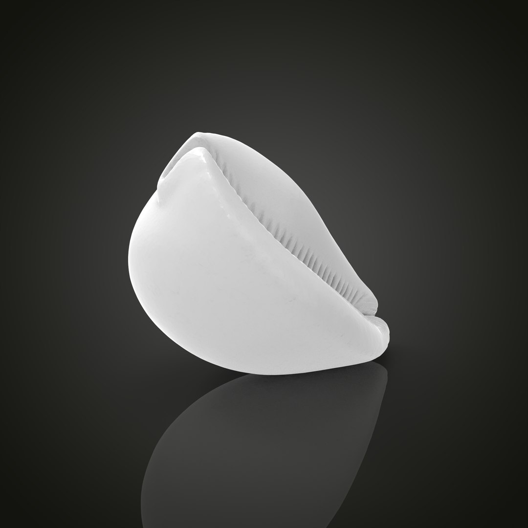 Shell model https://p.turbosquid.com/ts-thumb/cT/vJCR5h/4S/untitled.1.19/jpg/1649067403/1920x1080/fit_q87/d5702100e4691c3c1cef314b68b1409d3f074d6c/untitled.1.19.jpg