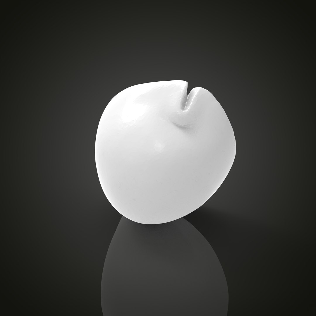Shell model https://p.turbosquid.com/ts-thumb/cT/vJCR5h/7R/untitled.1.14/jpg/1649067400/1920x1080/fit_q87/3fa0b9f18e6c876cd83d7663e2719861ef32d704/untitled.1.14.jpg