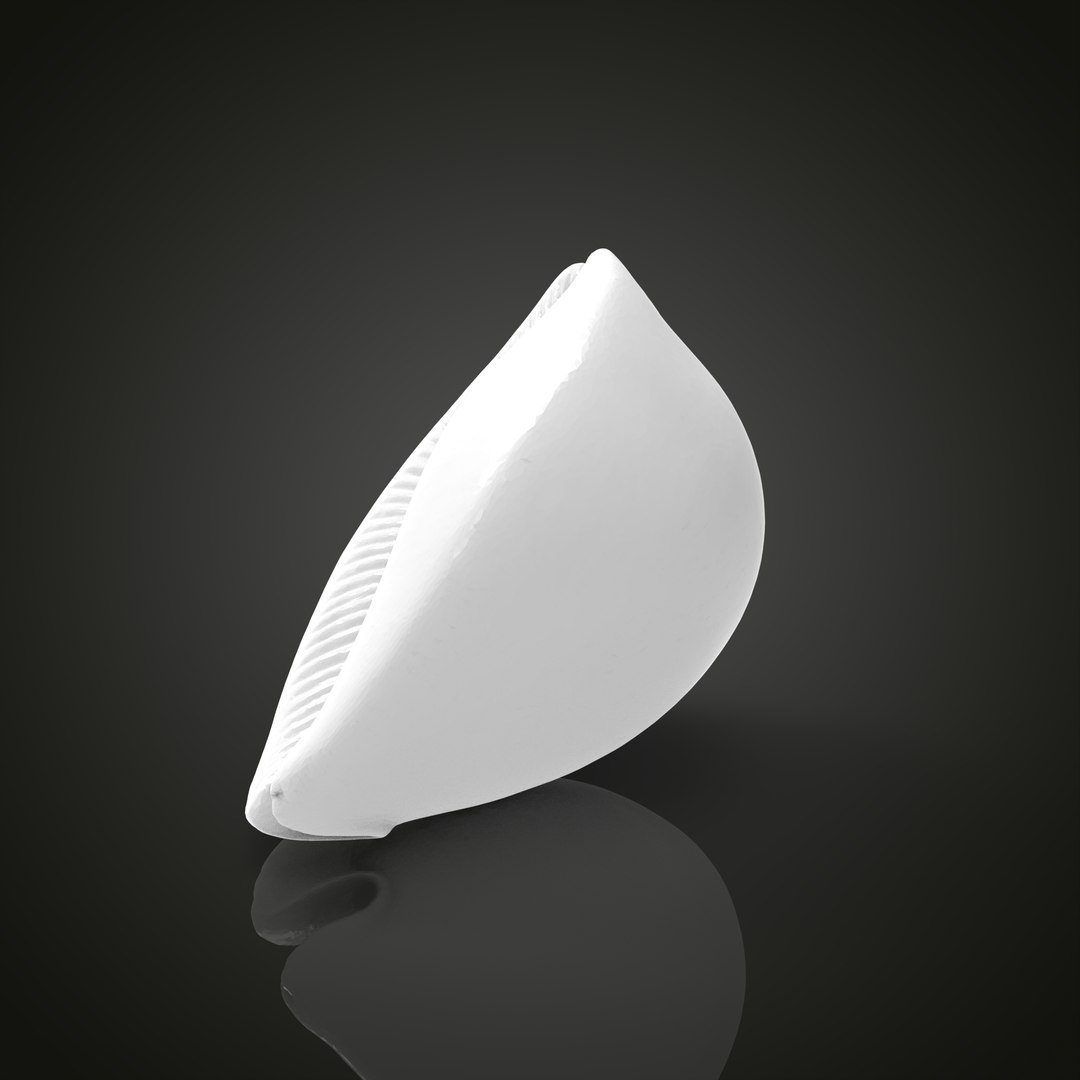 Shell model https://p.turbosquid.com/ts-thumb/cT/vJCR5h/8E/untitled.1.6/jpg/1649067395/1920x1080/fit_q87/b200bf68c381dea6f580d99c82fc81c9eb0bb380/untitled.1.6.jpg
