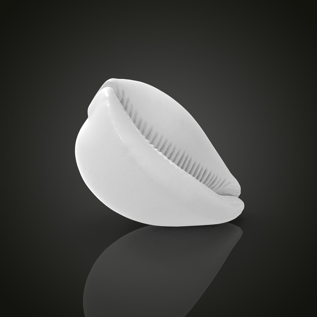 Shell model https://p.turbosquid.com/ts-thumb/cT/vJCR5h/Fj/untitled.1.20/jpg/1649067404/1920x1080/fit_q87/9f4a4709e9dfea6c186afa8796968593791d4000/untitled.1.20.jpg