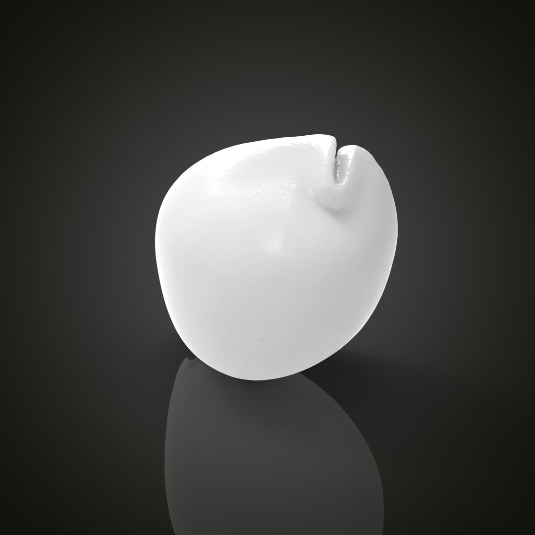 Shell model https://p.turbosquid.com/ts-thumb/cT/vJCR5h/Id/untitled.1.13/jpg/1649067399/1920x1080/fit_q87/977fea8895f05f078061314a1180a2b9aa4cfe1b/untitled.1.13.jpg