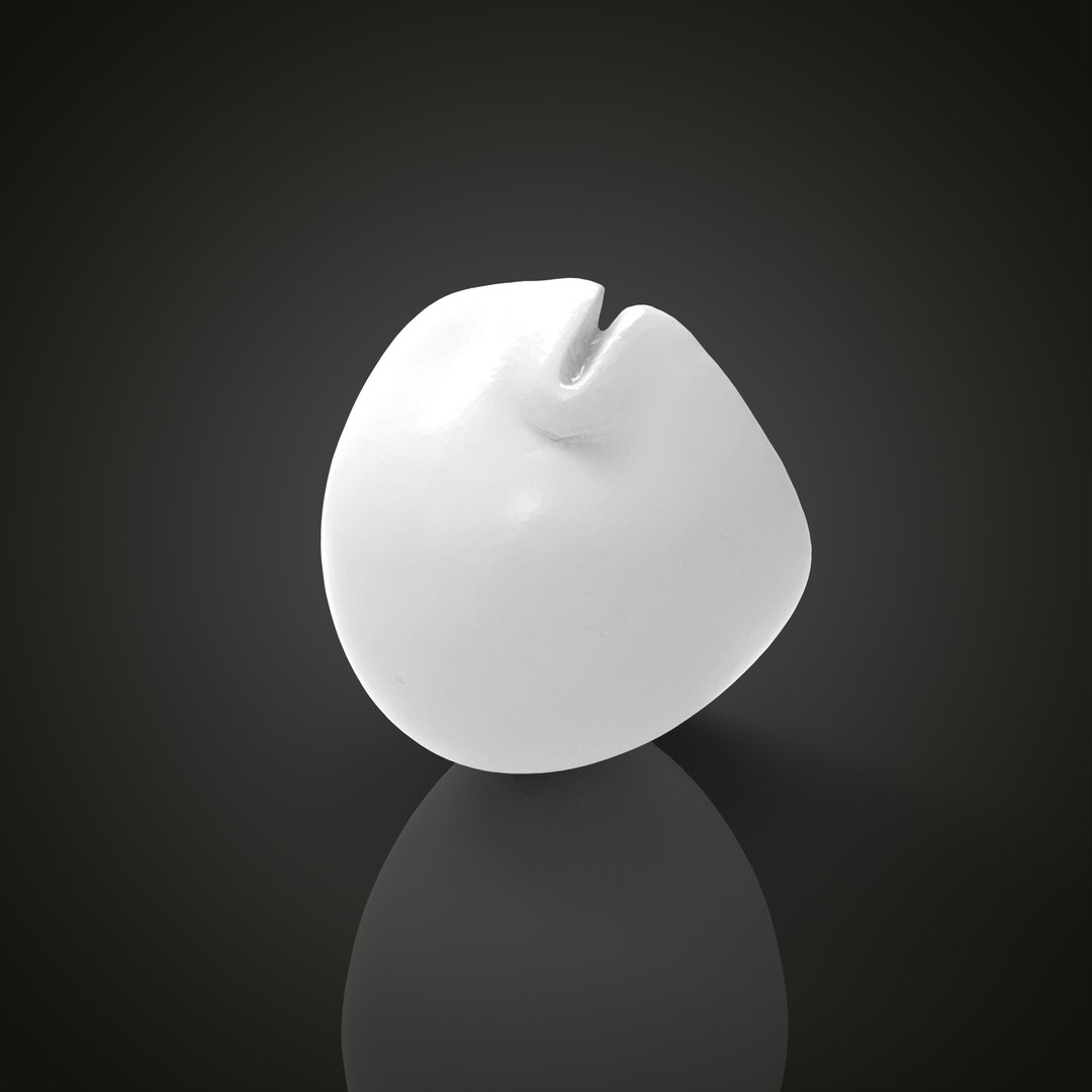 Shell model https://p.turbosquid.com/ts-thumb/cT/vJCR5h/MU/untitled.1.15/jpg/1649067400/1920x1080/fit_q87/4712ab12ad89ad6ec781694dff40b3999deefb22/untitled.1.15.jpg