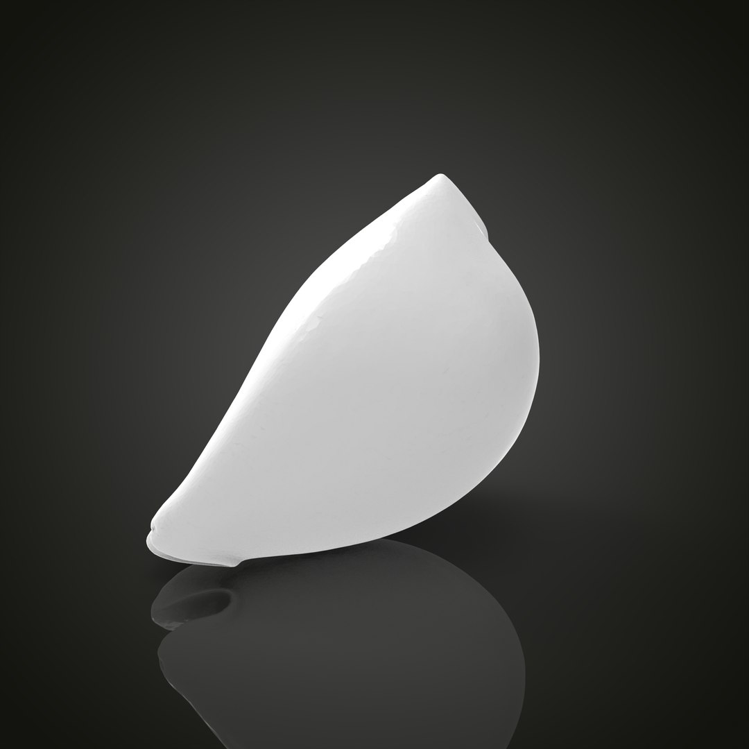 Shell model https://p.turbosquid.com/ts-thumb/cT/vJCR5h/Ti/untitled.1.7/jpg/1649067397/1920x1080/fit_q87/a6b24f65ec36903e5dddf011a9c389998c93a05a/untitled.1.7.jpg