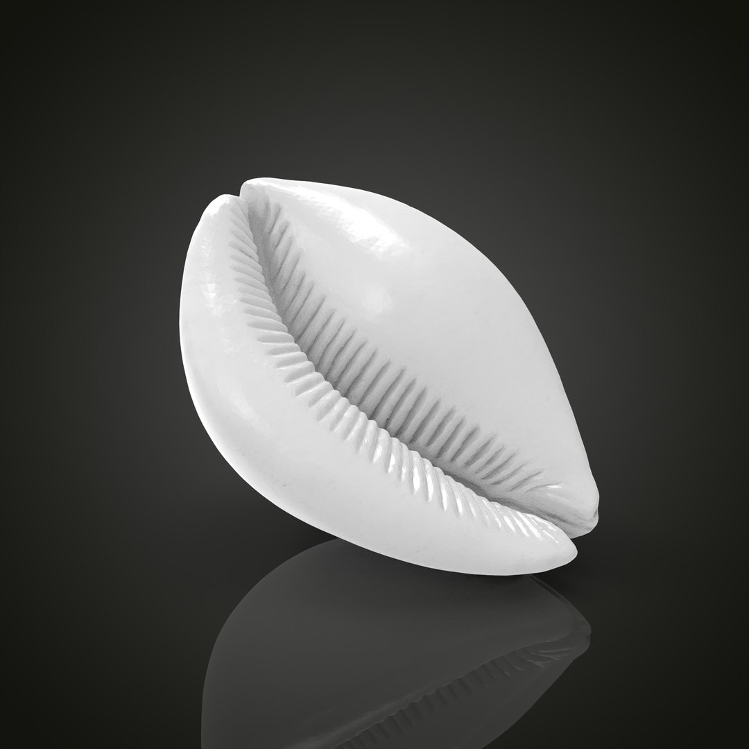 Shell model https://p.turbosquid.com/ts-thumb/cT/vJCR5h/ag/untitled.1.23/jpg/1649067404/1920x1080/fit_q87/1a884435a6490fe159e89e4bf7e19a2bc713efb8/untitled.1.23.jpg