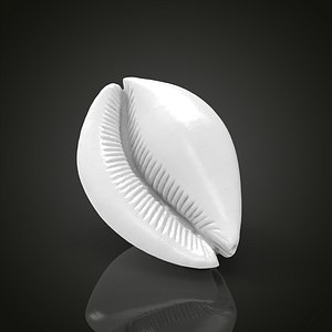 Shell model
