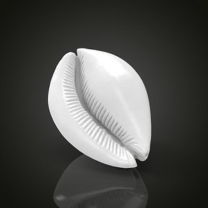 Shell