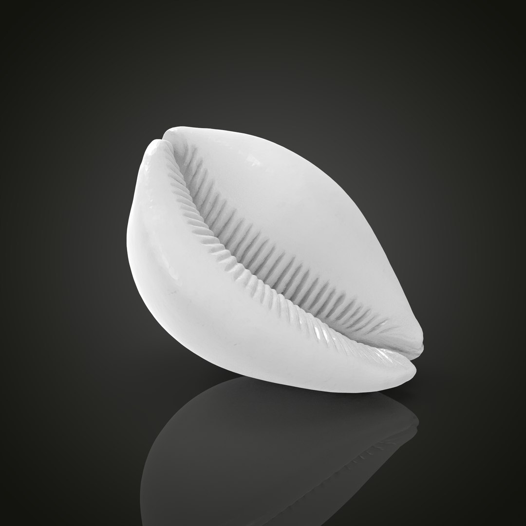 Shell model https://p.turbosquid.com/ts-thumb/cT/vJCR5h/r6/untitled.1.22/jpg/1649067404/1920x1080/fit_q87/4d7db39a2e766b6b778a47d38b756b69033937a1/untitled.1.22.jpg