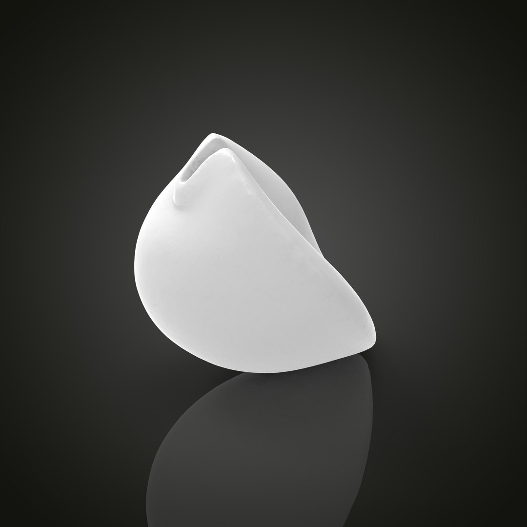 Shell Model - TurboSquid 1877912