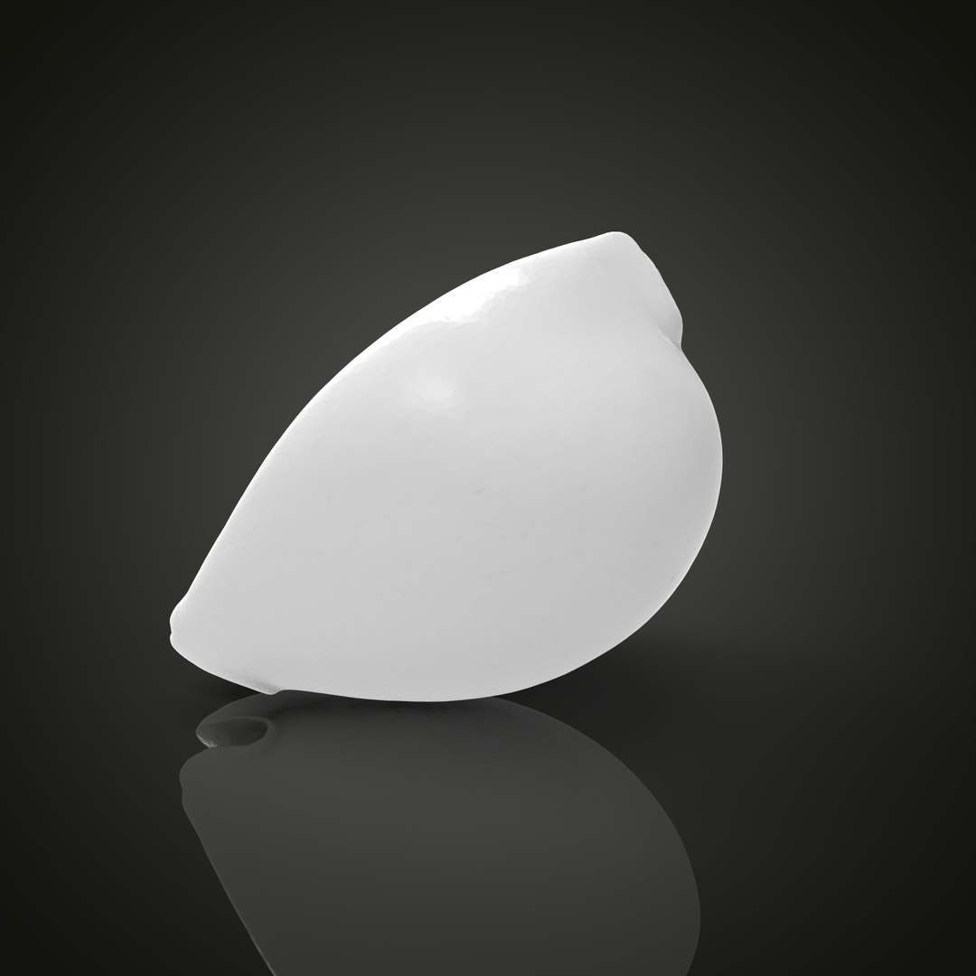 Shell model https://p.turbosquid.com/ts-thumb/cT/vJCR5h/x2/untitled.1.9/jpg/1649067398/1920x1080/fit_q87/09cbe784f35e0a18e9e81c578e32f6e1f07e87c1/untitled.1.9.jpg