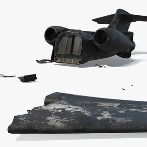 Crashed Private Jet Remains with Burn Marks 3D model