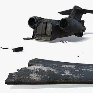 Crashed Private Jet Remains with Burn Marks