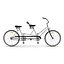 Bicycle Built for Two 3D Model