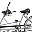Bicycle Built for Two 3D Model