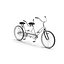 Bicycle Built for Two 3D Model