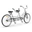 Bicycle Built for Two 3D Model