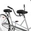 Bicycle Built for Two 3D Model