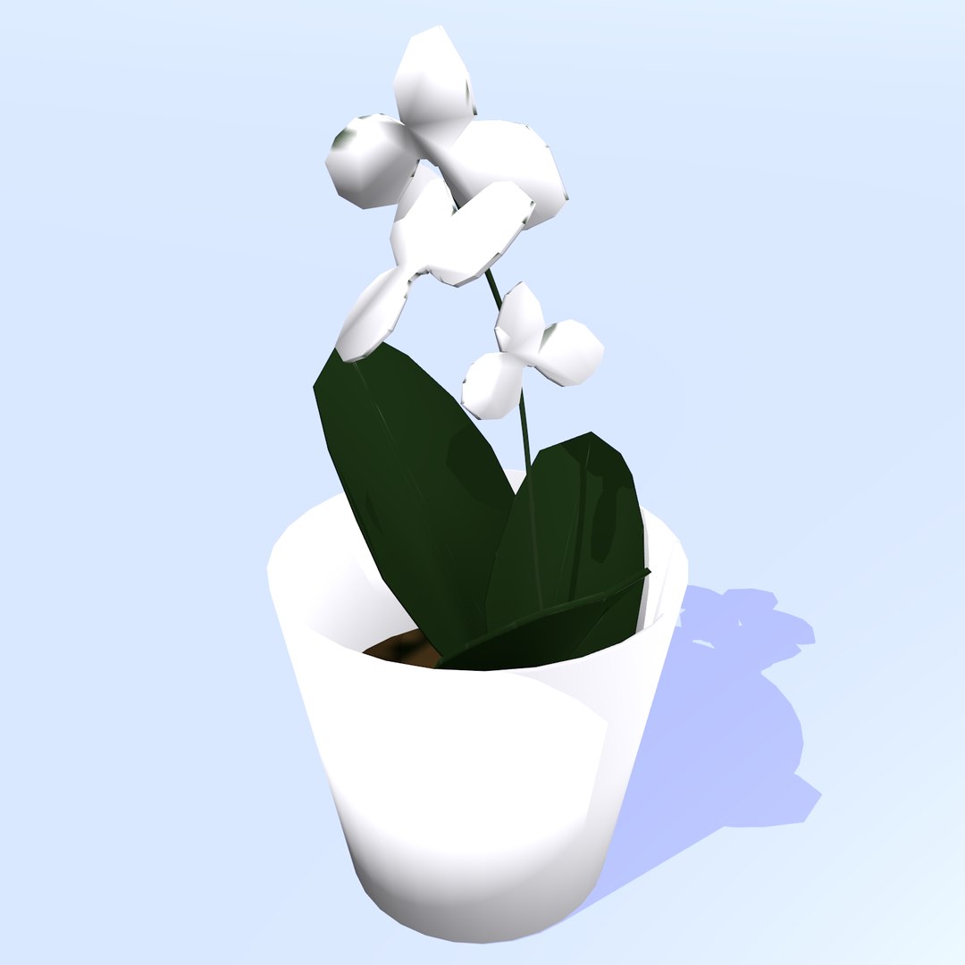 3D flowers pot https://p.turbosquid.com/ts-thumb/cU/4xAjuv/84hYQRxp/1/png/1532550940/1920x1080/fit_q87/627641d25bee638d4a398856af03a77ecbb7db4e/1.jpg
